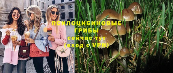 амф Богородицк