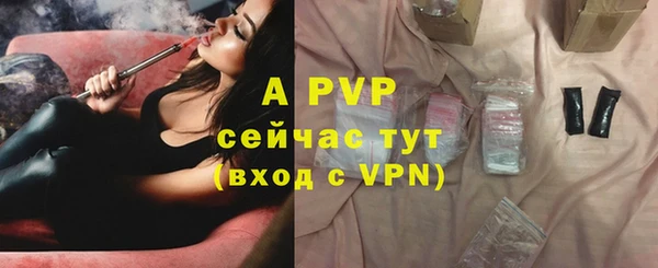 молекула духа Богородск