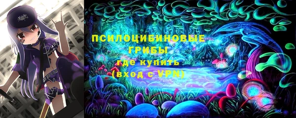 молекула духа Богородск