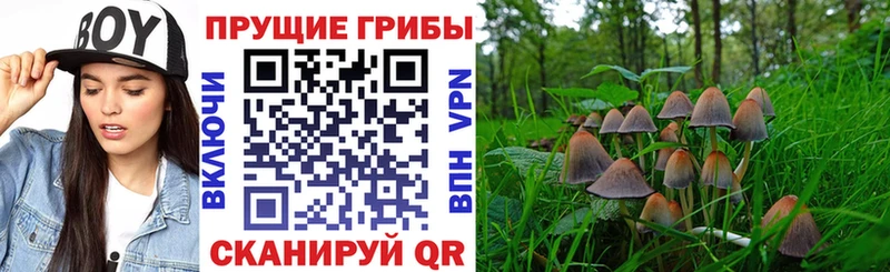 закладка  Кинешма  Галлюциногенные грибы ЛСД 