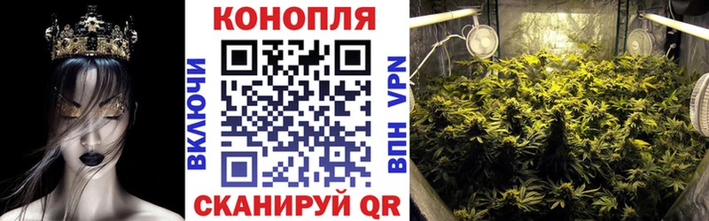Конопля AK-47  закладки  Кинешма 